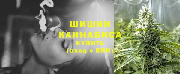 стаф Михайловск