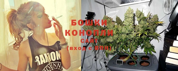 стаф Михайловск