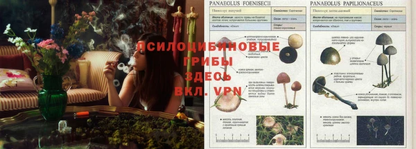 мдма Михайлов