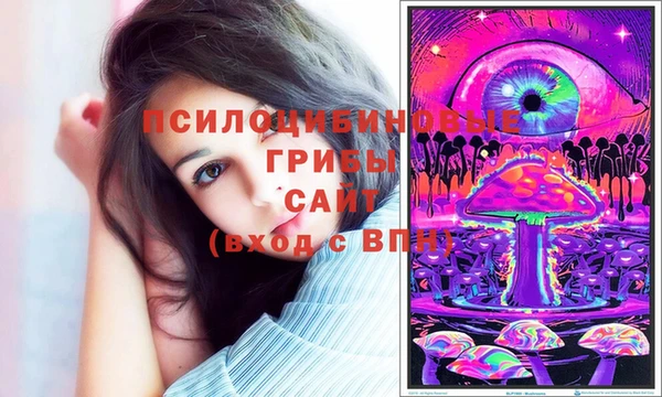 стаф Михайловск