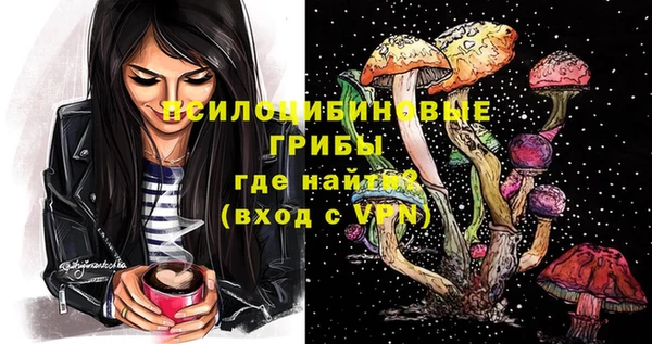 ГАЛЛЮЦИНОГЕННЫЕ ГРИБЫ Киселёвск
