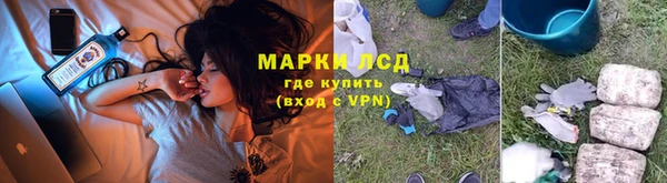 стаф Михайловск