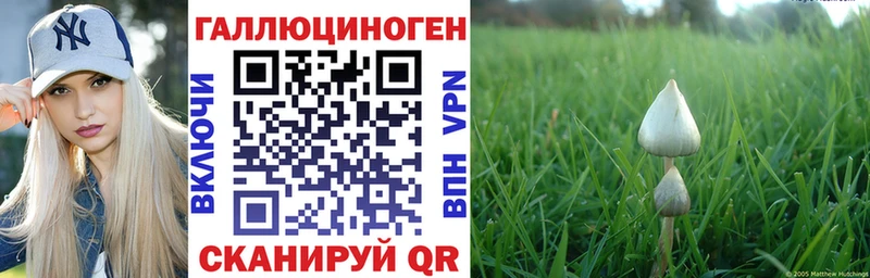 Псилоцибиновые грибы MAGIC MUSHROOMS Пионерский
