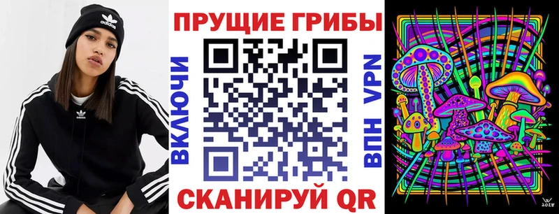 Псилоцибиновые грибы прущие грибы  сайты даркнета клад  Пионерский  где продают наркотики 
